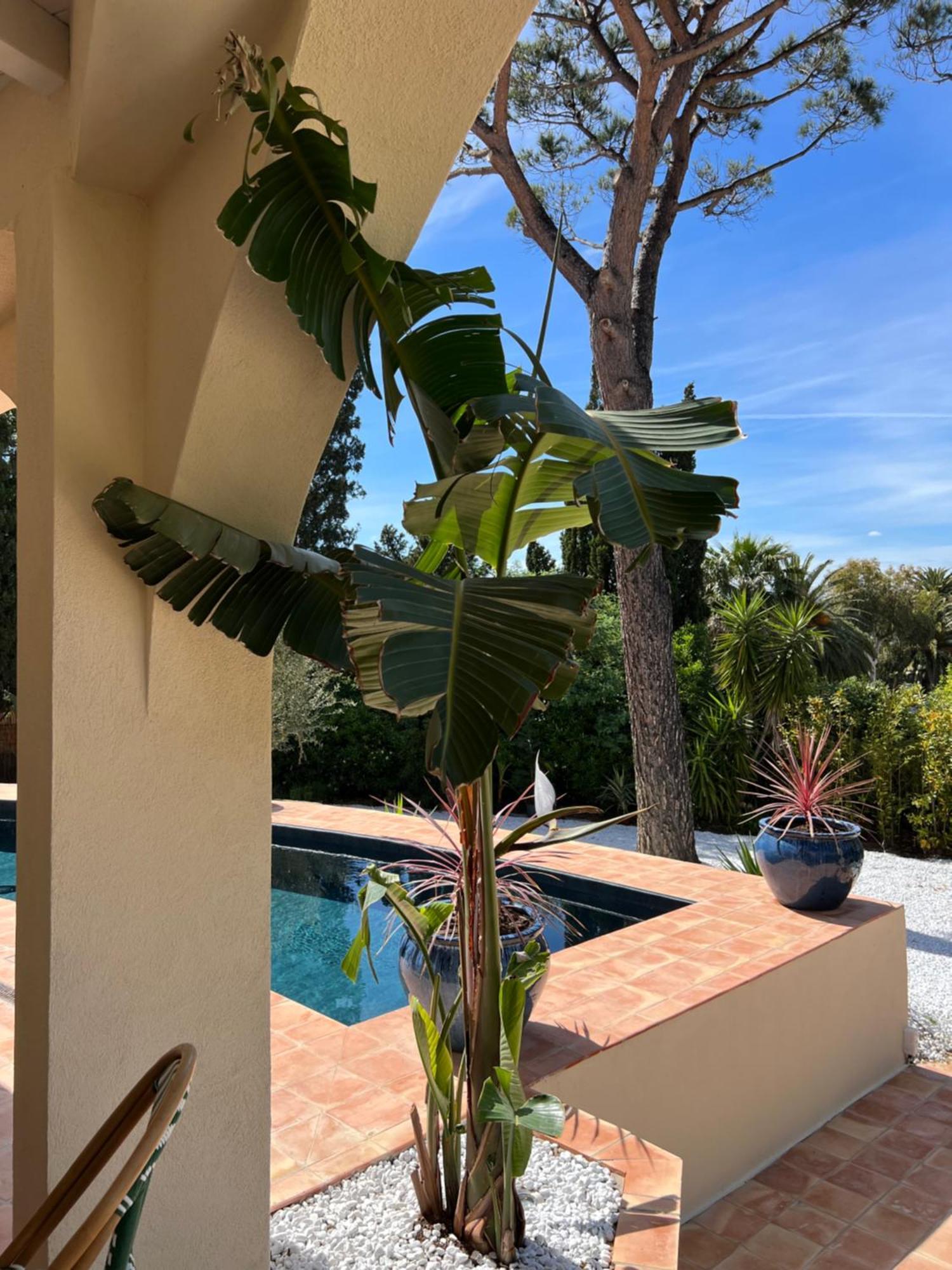Maison D'Orange - La Pinede Saint-Tropez Luaran gambar